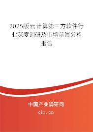 2025版云計算第三方軟件行業(yè)深度調研及市場前景分析報告