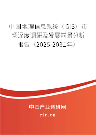 中國地理信息系統(tǒng)（GIS）市場深度調研及發(fā)展前景分析報告（2025-2031年）