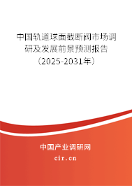 中國軌道球面截斷閥市場調(diào)研及發(fā)展前景預(yù)測報告（2025-2031年）