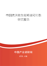 中國(guó)抗洪救生艇項(xiàng)目可行性研究報(bào)告