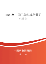 2009年中國飛輪總成行業(yè)研究報(bào)告