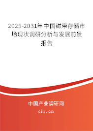 2025-2031年中國磁帶存儲市場現(xiàn)狀調(diào)研分析與發(fā)展前景報告