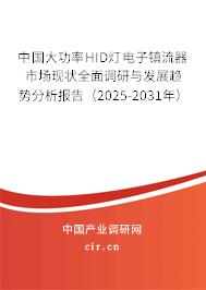 中國大功率HID燈電子鎮(zhèn)流器市場現狀全面調研與發(fā)展趨勢分析報告（2025-2031年）