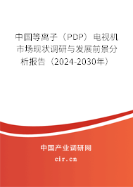 中國(guó)等離子（PDP）電視機(jī)市場(chǎng)現(xiàn)狀調(diào)研與發(fā)展前景分析報(bào)告（2024-2030年）