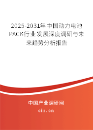 2025-2031年中國(guó)動(dòng)力電池PACK行業(yè)發(fā)展深度調(diào)研與未來(lái)趨勢(shì)分析報(bào)告
