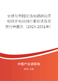 全球與中國交流電磁制動三相異步電動機行業(yè)現(xiàn)狀及前景分析報告（2025-2031年）