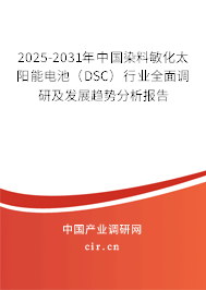 2025-2031年中國(guó)染料敏化太陽(yáng)能電池（DSC）行業(yè)全面調(diào)研及發(fā)展趨勢(shì)分析報(bào)告