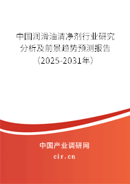 中國潤滑油清凈劑行業(yè)研究分析及前景趨勢預(yù)測報告（2025-2031年）