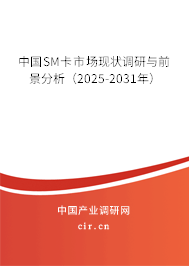 中國(guó)SM卡市場(chǎng)現(xiàn)狀調(diào)研與前景分析（2025-2031年）