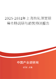 2025-2031年上海熱軋薄寬鋼帶市場調(diào)研與趨勢預(yù)測報告