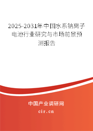 2025-2031年中國水系鈉離子電池行業(yè)研究與市場前景預測報告 2025-2031年中國水系鈉離子電池行業(yè)研究與市場前景預測報告