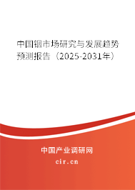 中國銦市場研究與發(fā)展趨勢預(yù)測報告（2025-2031年）