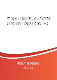 中國(guó)云計(jì)算市場(chǎng)現(xiàn)狀與前景趨勢(shì)報(bào)告（2025-2031年）