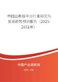 中國云數(shù)據(jù)平臺行業(yè)研究與發(fā)展趨勢預測報告（2025-2031年）