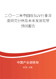 二〇一二年中國版SUV行業(yè)深度研究分析及未來發(fā)展前景預測報告
