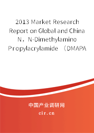2013 Market Research Report on Global and China N，N-Dimethylamino Propylacrylamide （DMAPAA） Industry
