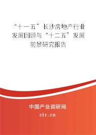 “十一五”長沙房地產(chǎn)行業(yè)發(fā)展回顧與“十二五”發(fā)展前景研究報告