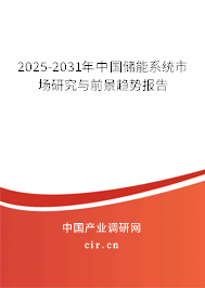 2025-2031年中國儲能系統(tǒng)市場研究與前景趨勢報告
