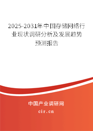 2025-2031年中國存儲網絡行業(yè)現狀調研分析及發(fā)展趨勢預測報告