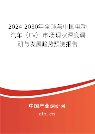 2024-2030年全球與中國電動汽車（EV）市場現(xiàn)狀深度調(diào)研與發(fā)展趨勢預(yù)測報告