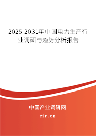 2025-2031年中國電力生產(chǎn)行業(yè)調(diào)研與趨勢(shì)分析報(bào)告