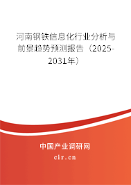 河南鋼鐵信息化行業(yè)分析與前景趨勢預(yù)測報(bào)告（2025-2031年）
