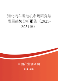 湖北汽車發(fā)動(dòng)機(jī)市場(chǎng)研究與發(fā)展趨勢(shì)分析報(bào)告（2025-2031年）