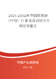 2025-2031年中國(guó)聚苯醚（PPO）行業(yè)發(fā)展調(diào)研與市場(chǎng)前景報(bào)告