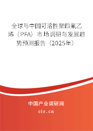 全球與中國(guó)可溶性聚四氟乙烯（PFA）市場(chǎng)調(diào)研與發(fā)展趨勢(shì)預(yù)測(cè)報(bào)告（2025年）