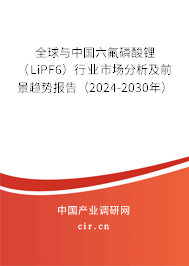 全球與中國(guó)六氟磷酸鋰（LiPF6）行業(yè)市場(chǎng)分析及前景趨勢(shì)報(bào)告（2024-2030年）