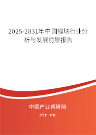 2025-2031年中國(guó)錨塊行業(yè)分析與發(fā)展前景報(bào)告