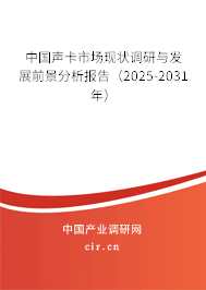 中國聲卡市場現(xiàn)狀調(diào)研與發(fā)展前景分析報(bào)告（2025-2031年）