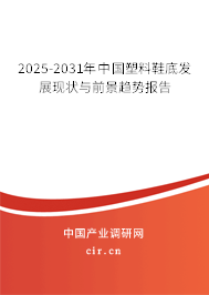 2025-2031年中國塑料鞋底發(fā)展現(xiàn)狀與前景趨勢報告