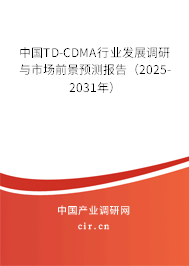 中國(guó)TD-CDMA行業(yè)發(fā)展調(diào)研與市場(chǎng)前景預(yù)測(cè)報(bào)告（2025-2031年）