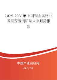 2025-2031年中國銅金屬行業(yè)發(fā)展深度調(diào)研與未來趨勢報告