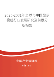 2025-2031年全球與中國顯示模組行業(yè)發(fā)展研究及前景分析報告
