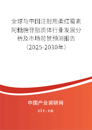 全球與中國(guó)注射用柔紅霉素阿糖胞苷脂質(zhì)體行業(yè)發(fā)展分析及市場(chǎng)前景預(yù)測(cè)報(bào)告（2025-2030年）