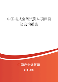 中國按式全蒸汽熨斗項目投資咨詢報告