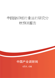 中國復印紙行業(yè)運行研究分析預測報告 中國復印紙行業(yè)運行研究分析預測報告