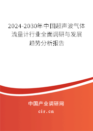 2024-2030年中國超聲波氣體流量計行業(yè)全面調研與發(fā)展趨勢分析報告