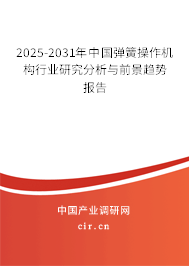 2025-2031年中國彈簧操作機構(gòu)行業(yè)研究分析與前景趨勢報告