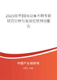 2025版中國電動車市場專題研究分析與發(fā)展前景預(yù)測報告