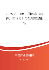 2025-2031年中國(guó)仿真（軟件）市場(chǎng)分析與發(fā)展前景報(bào)告