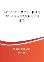 2025-2031年中國(guó)工業(yè)模塊電源行業(yè)現(xiàn)狀與發(fā)展趨勢(shì)預(yù)測(cè)報(bào)告