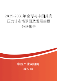 2025-2031年全球與中國井底壓力計(jì)市場調(diào)研及發(fā)展前景分析報(bào)告