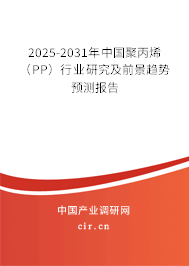 2025-2031年中國聚丙烯（PP）行業(yè)研究及前景趨勢預(yù)測報告