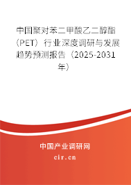 中國聚對苯二甲酸乙二醇酯（PET）行業(yè)深度調(diào)研與發(fā)展趨勢預(yù)測報(bào)告（2025-2031年）