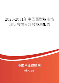2025-2031年中國巨型胎市場現(xiàn)狀與前景趨勢預(yù)測報告