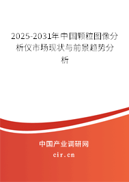 2025-2031年中國顆粒圖像分析儀市場現(xiàn)狀與前景趨勢分析