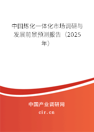 中國煉化一體化市場調研與發(fā)展前景預測報告（2025年）